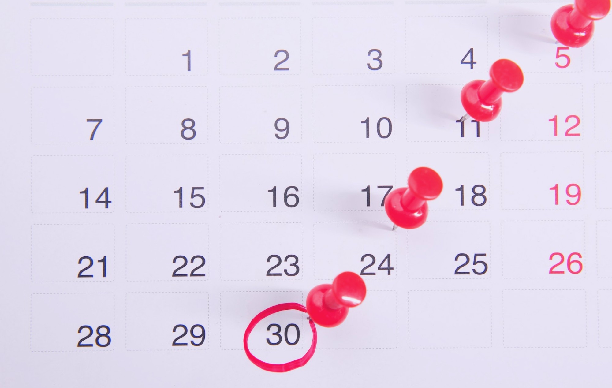 California Supreme Court Calendar November 2025