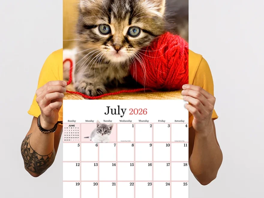 2026 Kittens Wall Calendar TF Publishing Calendars Planners Journals Stationery