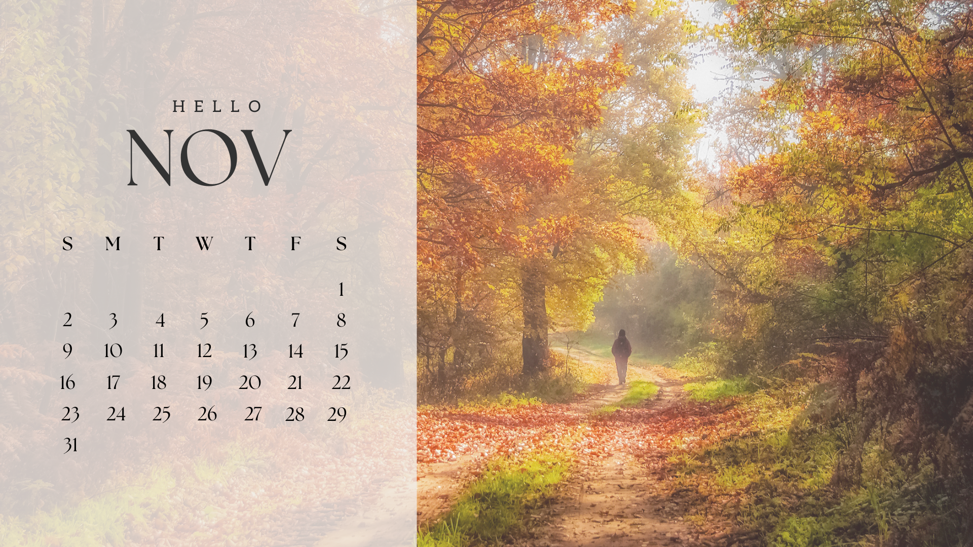 30 Free November 2025 Desktop Calendar Backgrounds EASY DOWNLOAD 