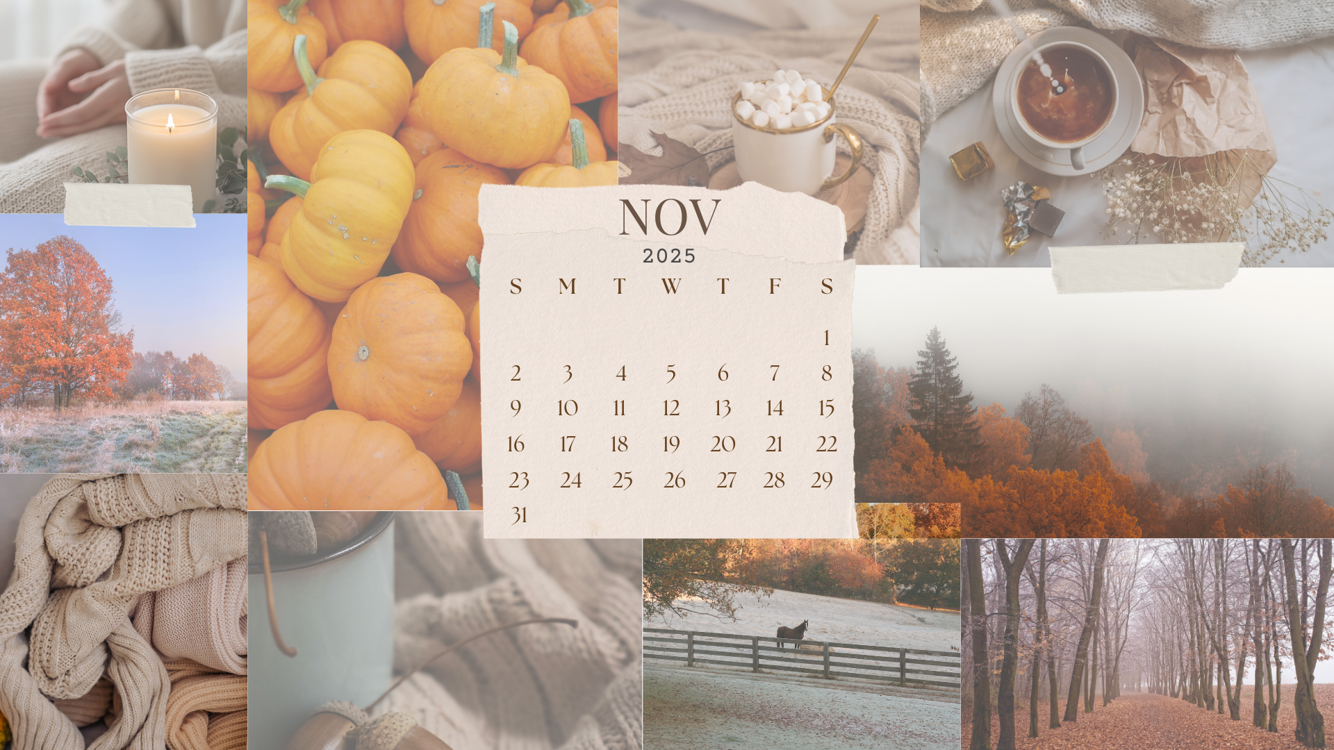 30 Free November 2025 Desktop Calendar Backgrounds EASY DOWNLOAD 