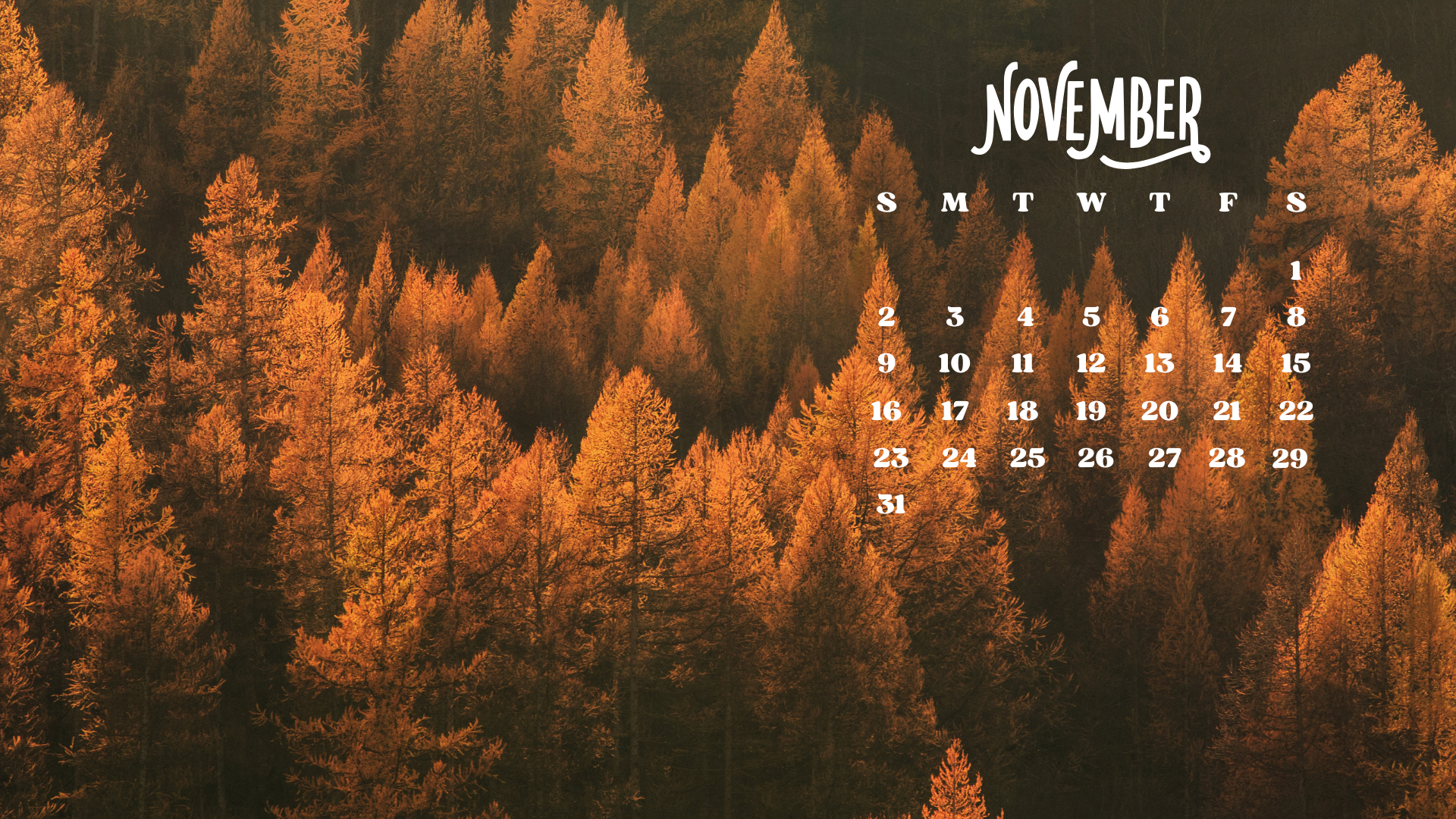 30 Free November 2025 Desktop Calendar Backgrounds EASY DOWNLOAD 