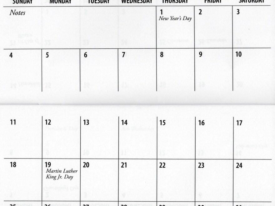 Amazon 2 Year Checkbook Size 3 x 6 Calendar Planner Datebook Floral Print Flowers Vintage Rose 2025 2026