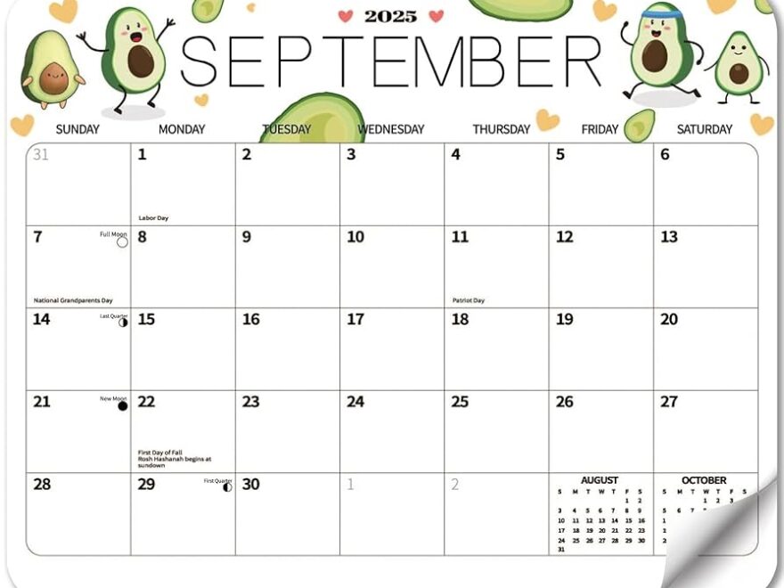 Amazon 2025 Magnetic Calendar For Refrigerator Fridge Wall Monthly Magnet Calendar From January 2025 To December 2025 12 Month 8 1 X 10 1 Inch Planner Easy Organization Fruit Decor For Home Office Products