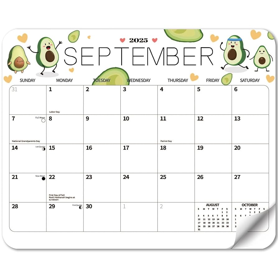 Amazon 2025 Magnetic Calendar For Refrigerator Fridge Wall Monthly Magnet Calendar From January 2025 To December 2025 12 Month 8 1 X 10 1 Inch Planner Easy Organization Fruit Decor For Home Office Products