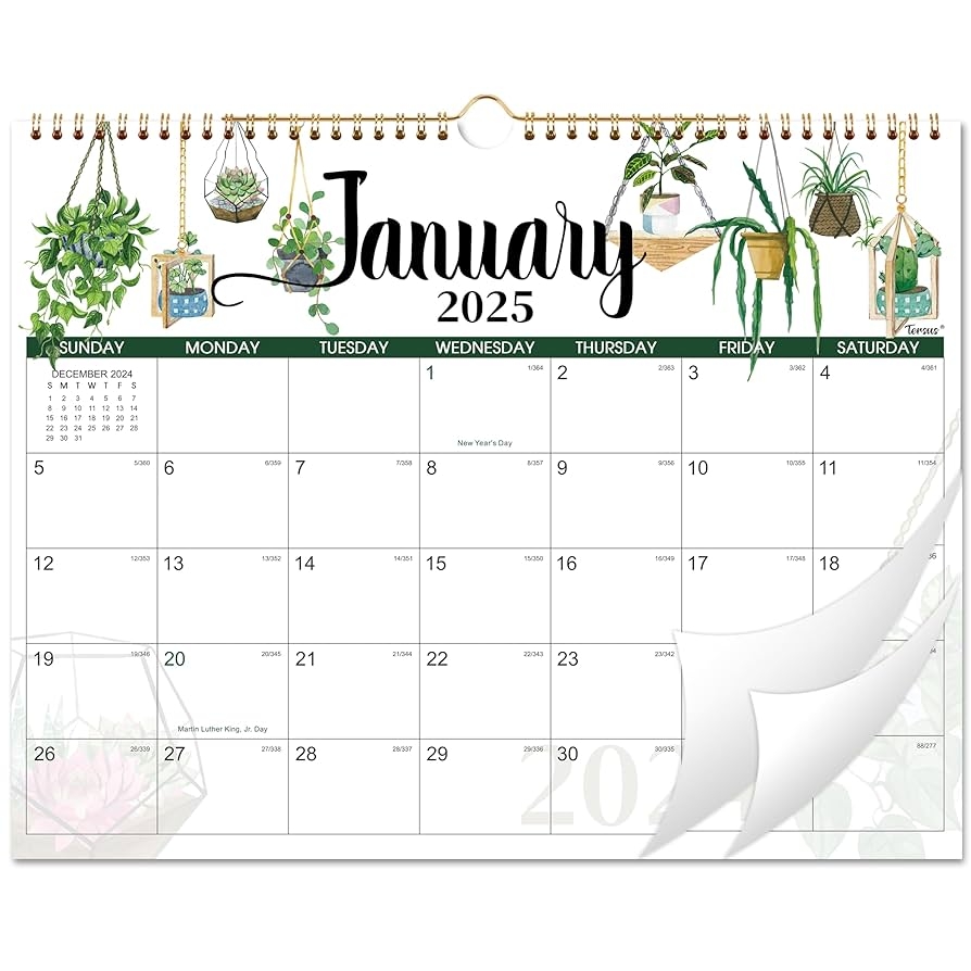 Amazon 2025 Wall Calendar 12 Months Wall Calendar 2025 JAN 2025 DEC 2025 Calendar 2025 For Wall 14 8 X 11 6 Sturdy Binding Julian Dates Holiday Reminder Large Ruled Blocks Office Products