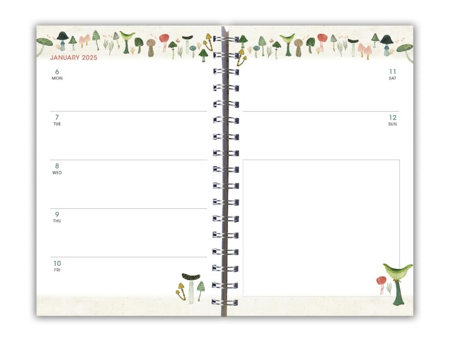 Amazon 2025 Weekly Monthly Planner 16 Month Engagement Calendar September 2024 December 2025 6 X 9 Mushroom Delight Office Products