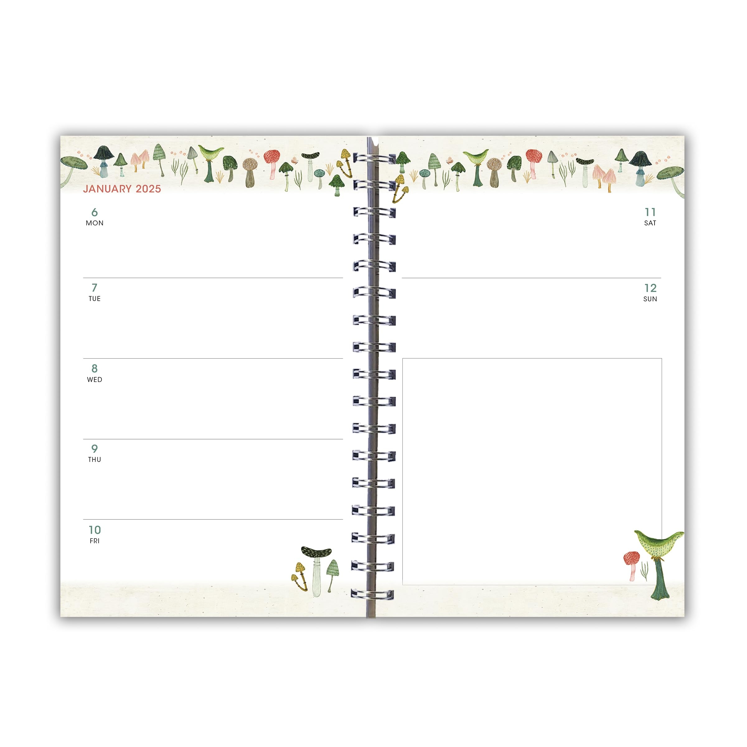 Amazon 2025 Weekly Monthly Planner 16 Month Engagement Calendar September 2024 December 2025 6 X 9 Mushroom Delight Office Products