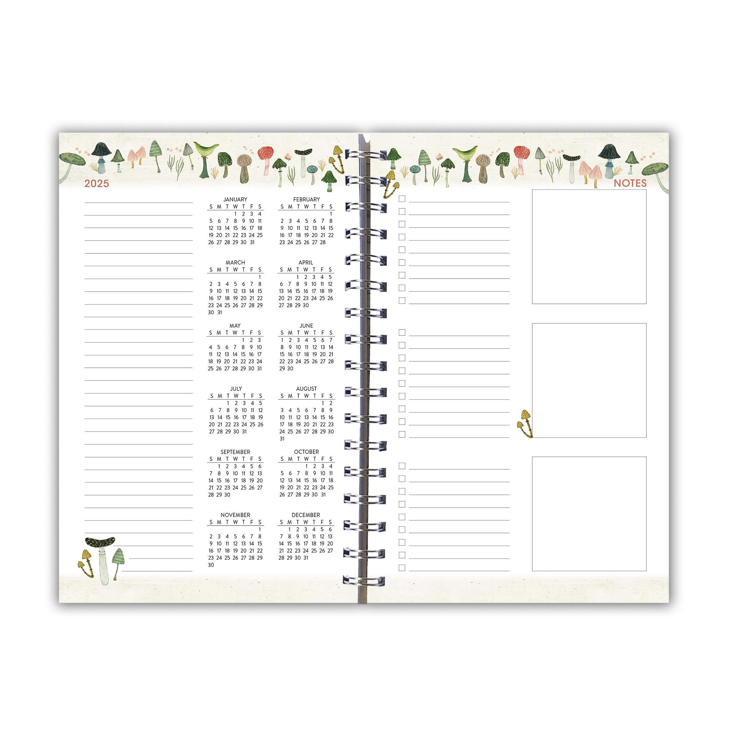 Amazon 2025 Weekly Monthly Planner 16 Month Engagement Calendar September 2024 December 2025 6 X 9 Mushroom Delight Office Products
