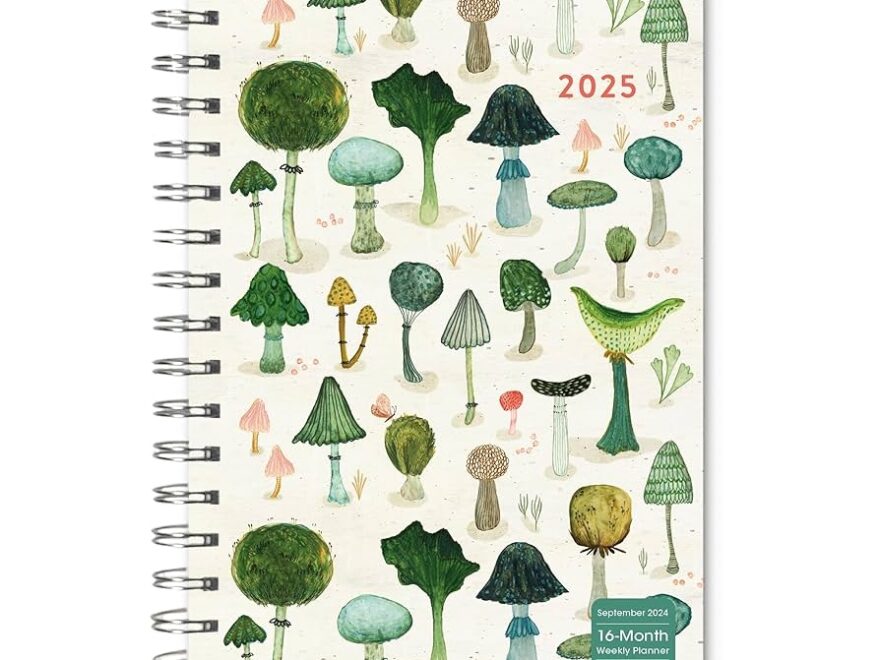 Amazon 2025 Weekly Monthly Planner 16 Month Engagement Calendar September 2024 December 2025 6 X 9 Mushroom Delight Office Products