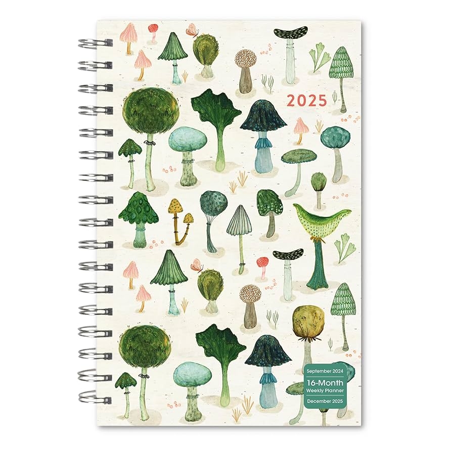 Amazon 2025 Weekly Monthly Planner 16 Month Engagement Calendar September 2024 December 2025 6 X 9 Mushroom Delight Office Products