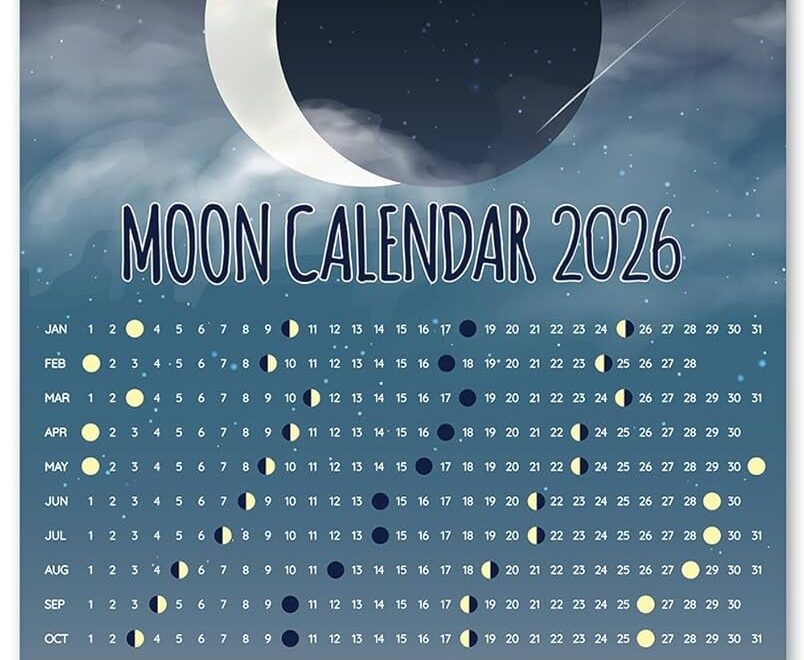 Amazon 2026 Calendar Phases Of The Moon Poster 11x14 Unframed Print Lunar Phases Astrology Moon Calendar Decorative Moon Wall Art Full New Moon Celestial Night Sky Astronomy