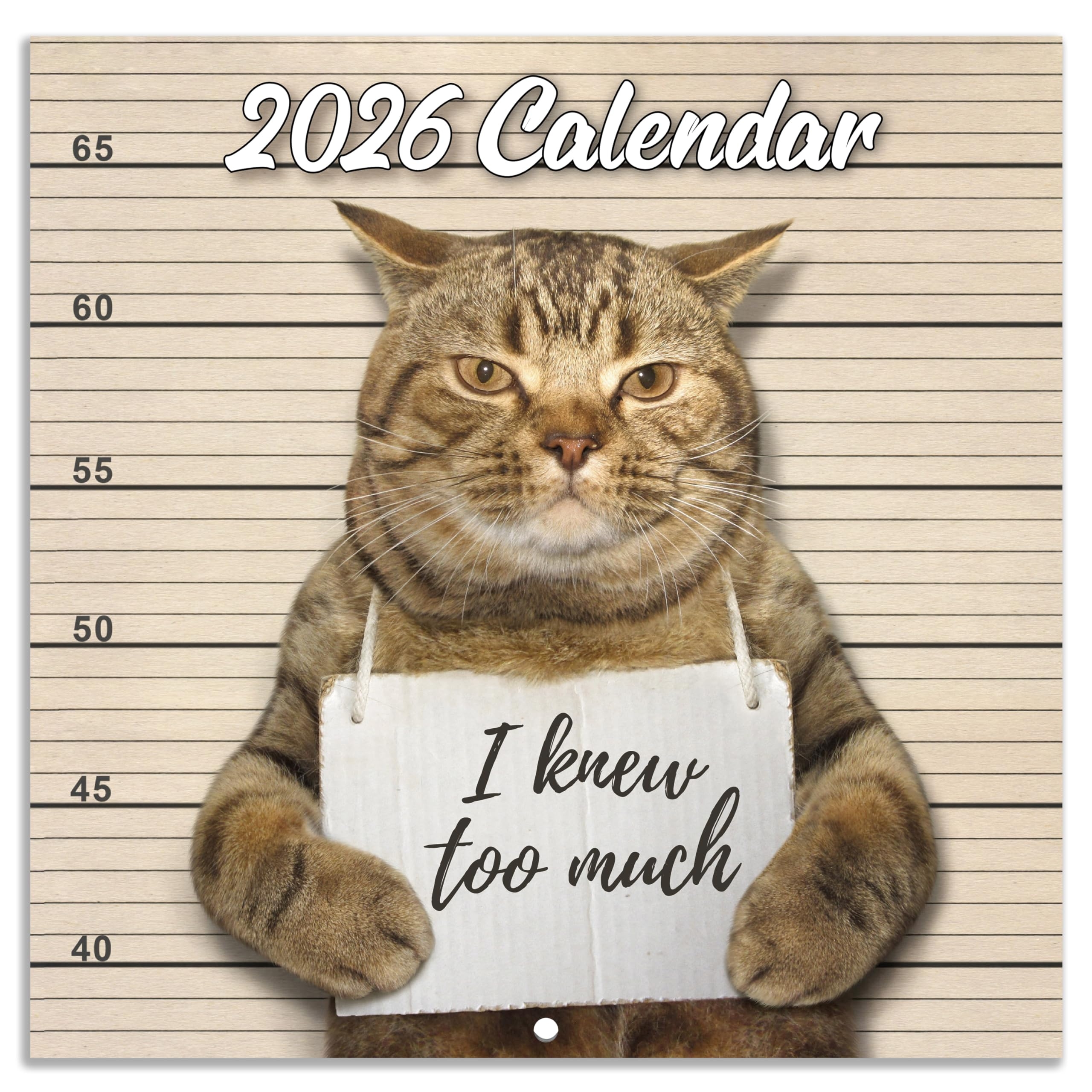 Amazon 2026 Wall Calendar January 2026 December 2026 Funny Cat Calendar 2026 12 Months Calendar Funny Cat Memes Pics 12 X 24 Opened Office Products