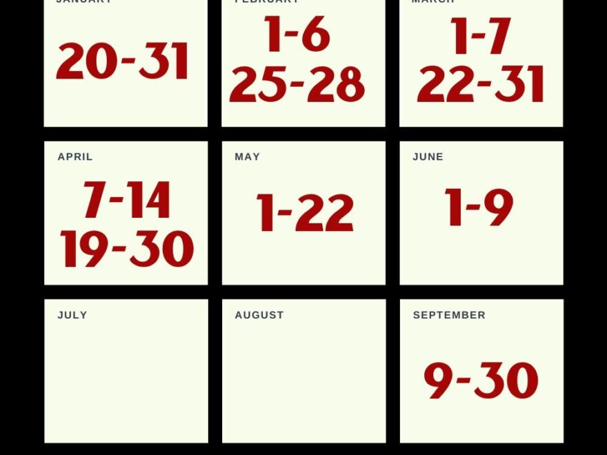 Best Disney World Crowd Calendar 2025