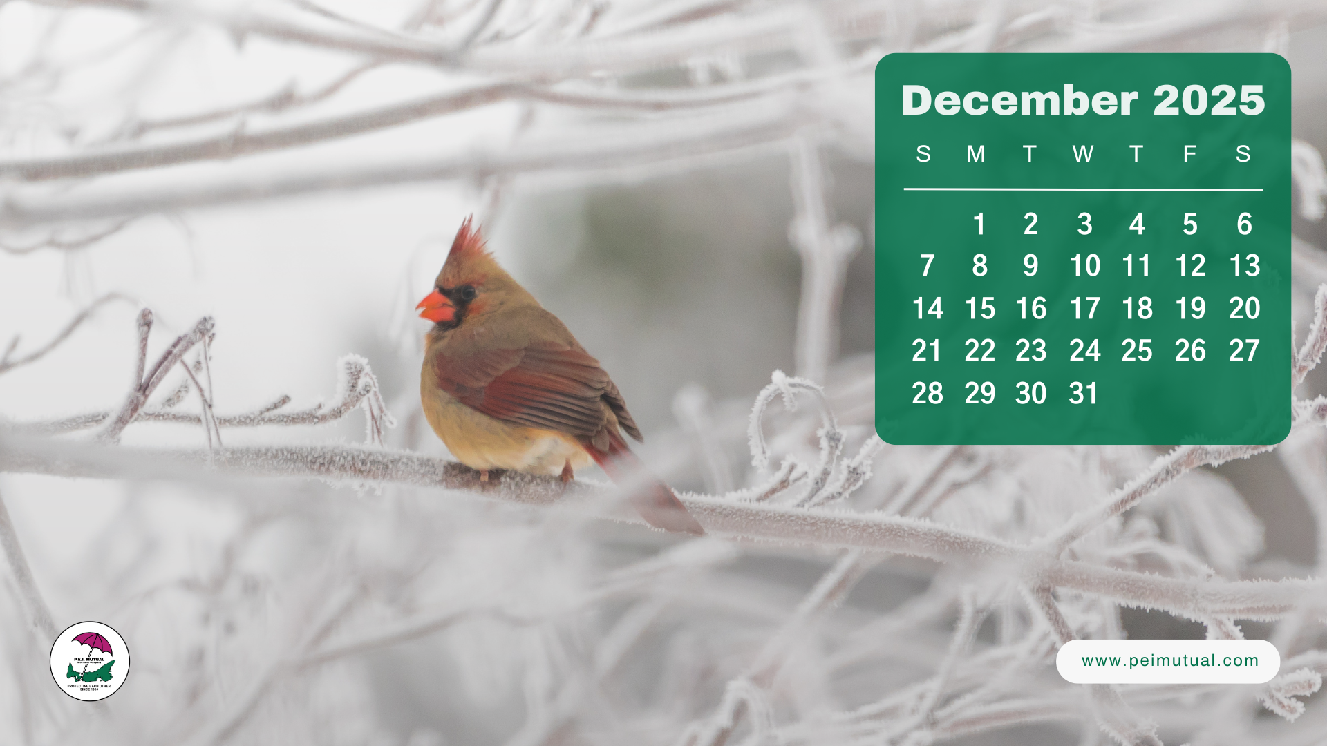 Calendar Download This Year s Calendar PEI Desktop Wallpaper