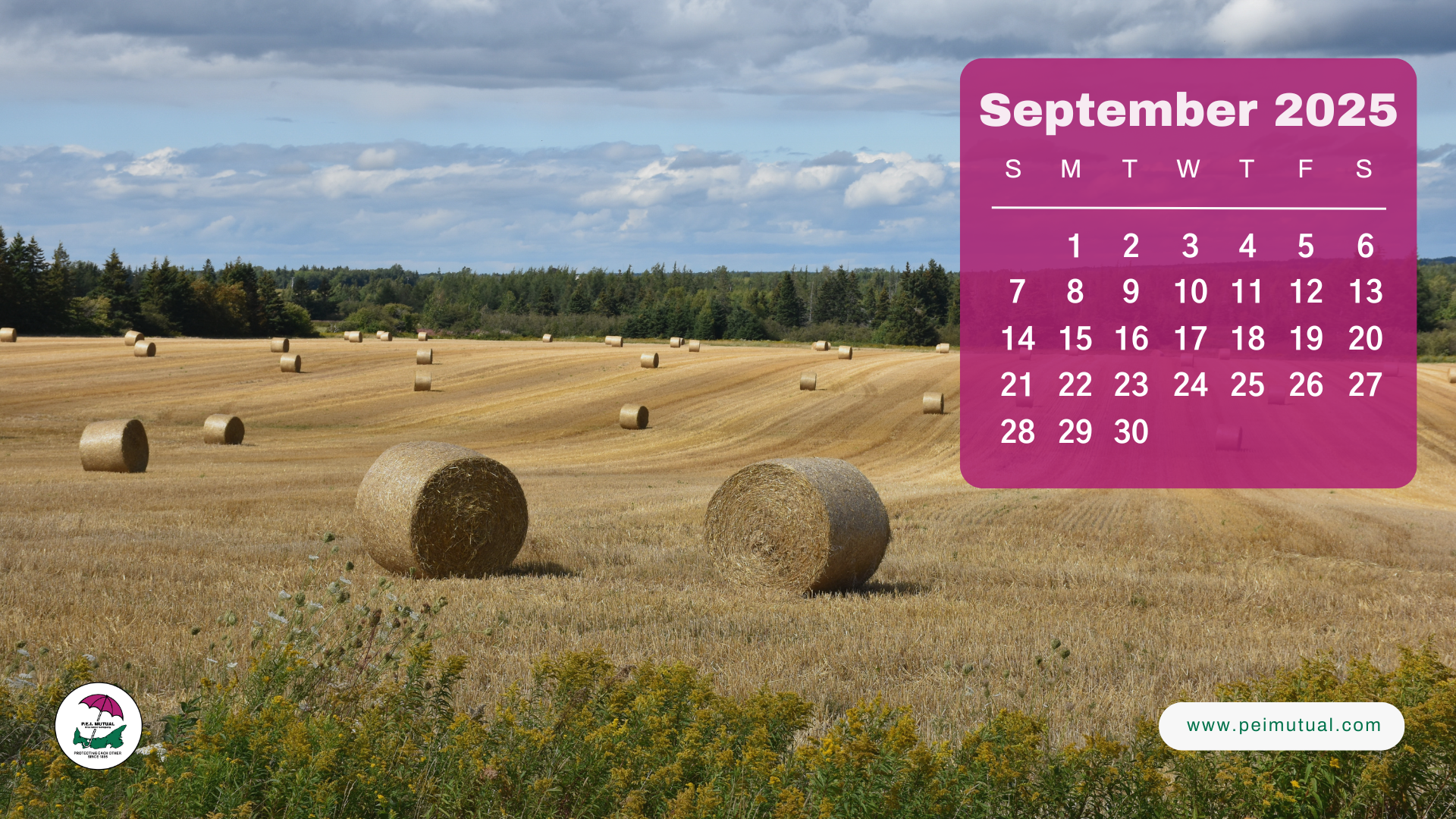 September 2025 Calendar Desktop Wallpaper