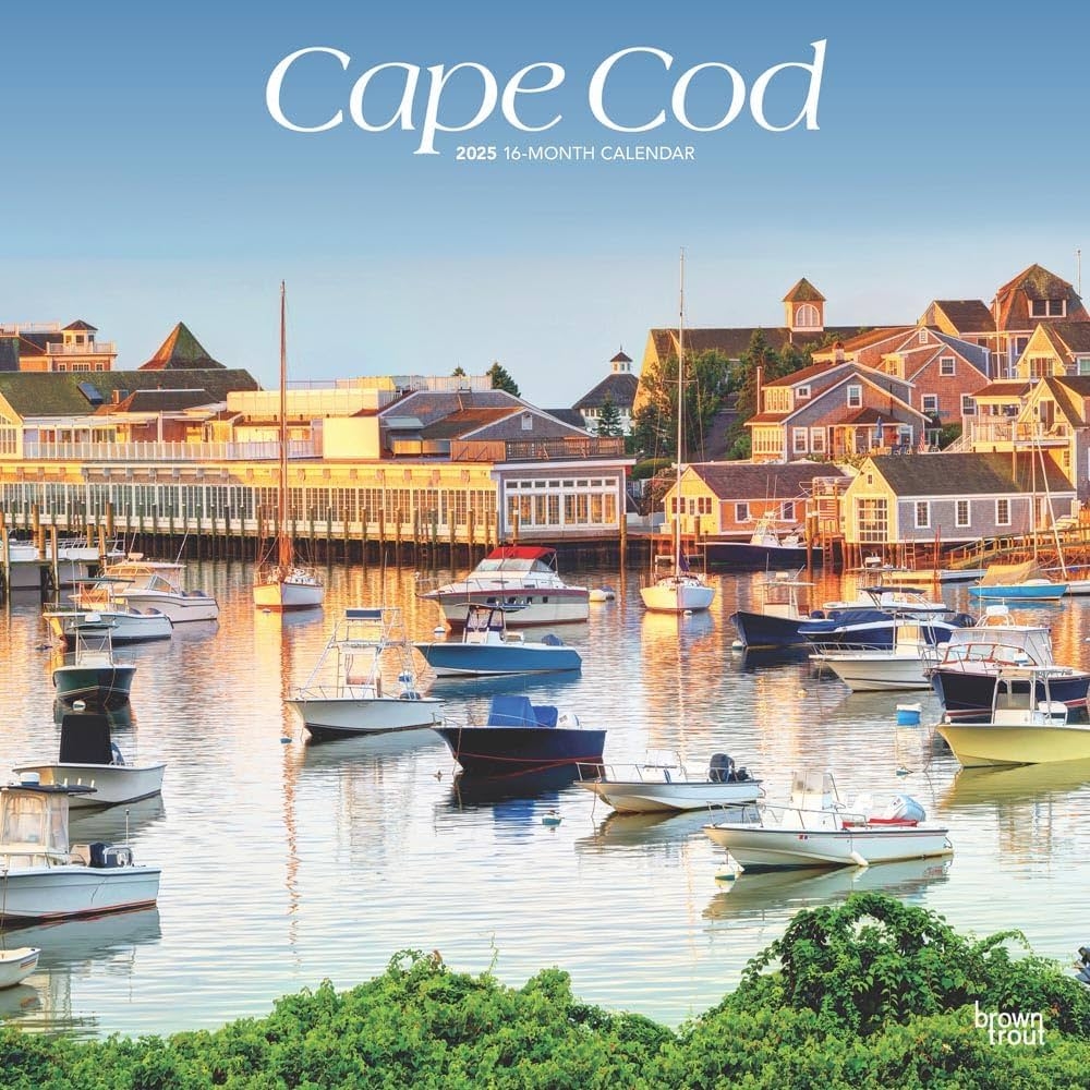 Cape Cod 2025 12 X 24 Inch Monthly Square Wall Calendar Plastic Free BrownTrout Ocean Sea Coast Massachusetts BrownTrout BrownTrout Publishers Inc 9781975474577 Amazon Books