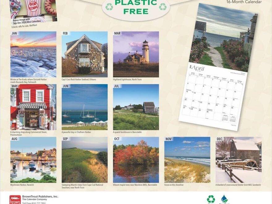 Cape Cod 2025 12 X 24 Inch Monthly Square Wall Calendar Plastic Free BrownTrout Ocean Sea Coast Massachusetts BrownTrout BrownTrout Publishers Inc 9781975474577 Amazon Books