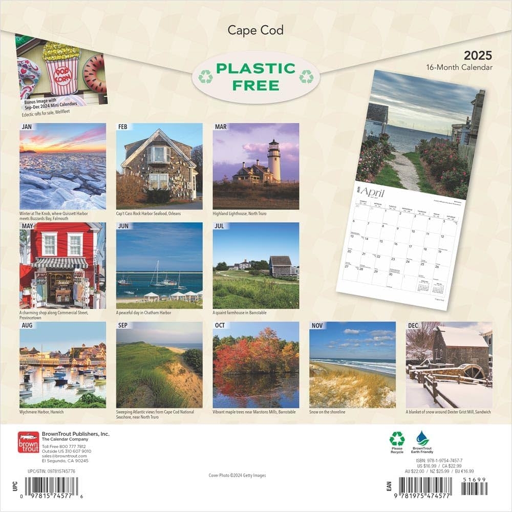 Cape Cod 2025 12 X 24 Inch Monthly Square Wall Calendar Plastic Free BrownTrout Ocean Sea Coast Massachusetts BrownTrout BrownTrout Publishers Inc 9781975474577 Amazon Books