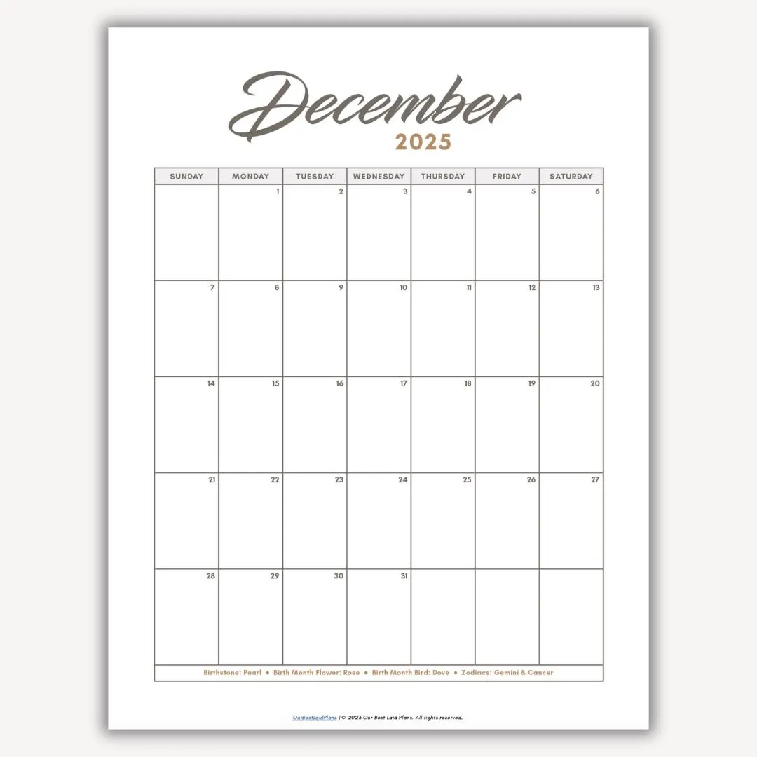 December 2025 Calendar Printable Download December 2025 Printable PDF December Cal 2025 Portrait Blank Minimalist Calendar Dec Month 2025 Etsy