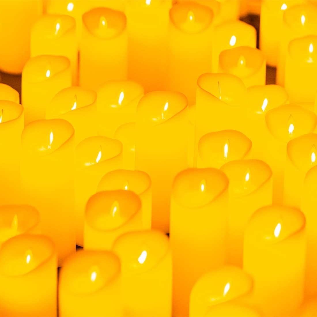 New Orleans Music Calendar November 2025