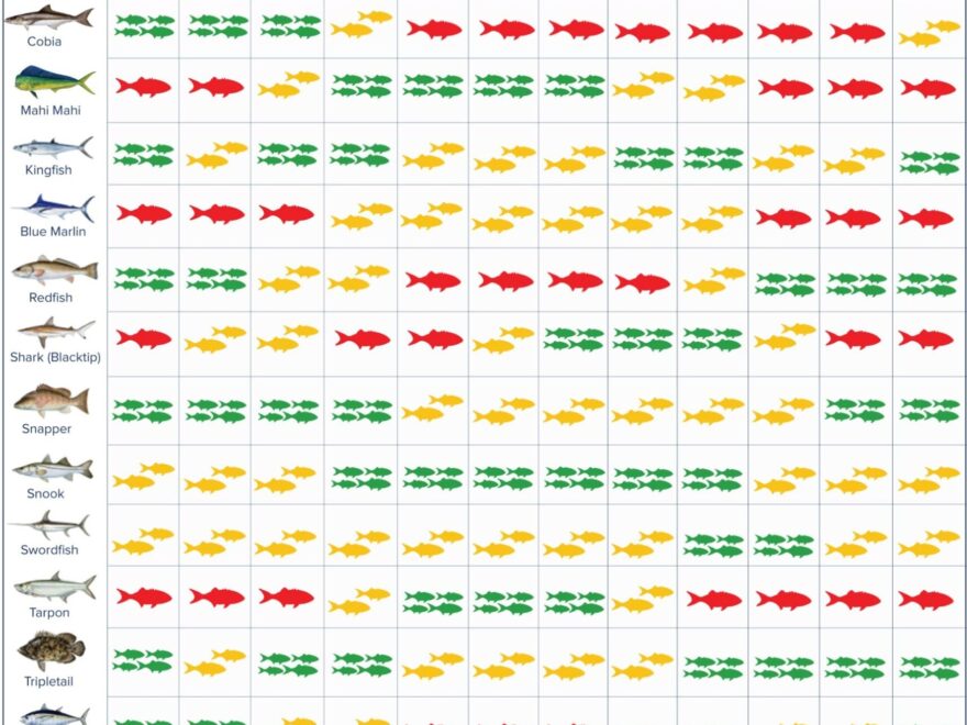 Fishing Calendar Guide In Stuart FL Hate 2 Lose