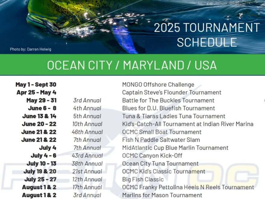 Fishing Tournament Calendar For Ocean City Maryland Area Competitions