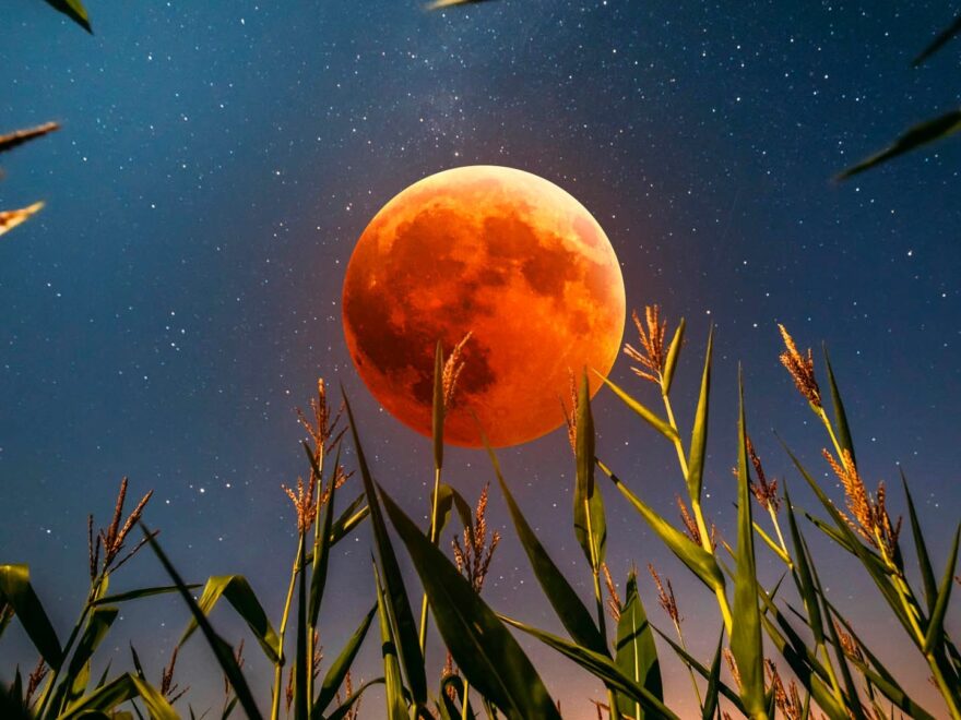 Full Moon September 2025 Corn Moon Harvest Moon 2025 Supermoon September 2025 Star Walk