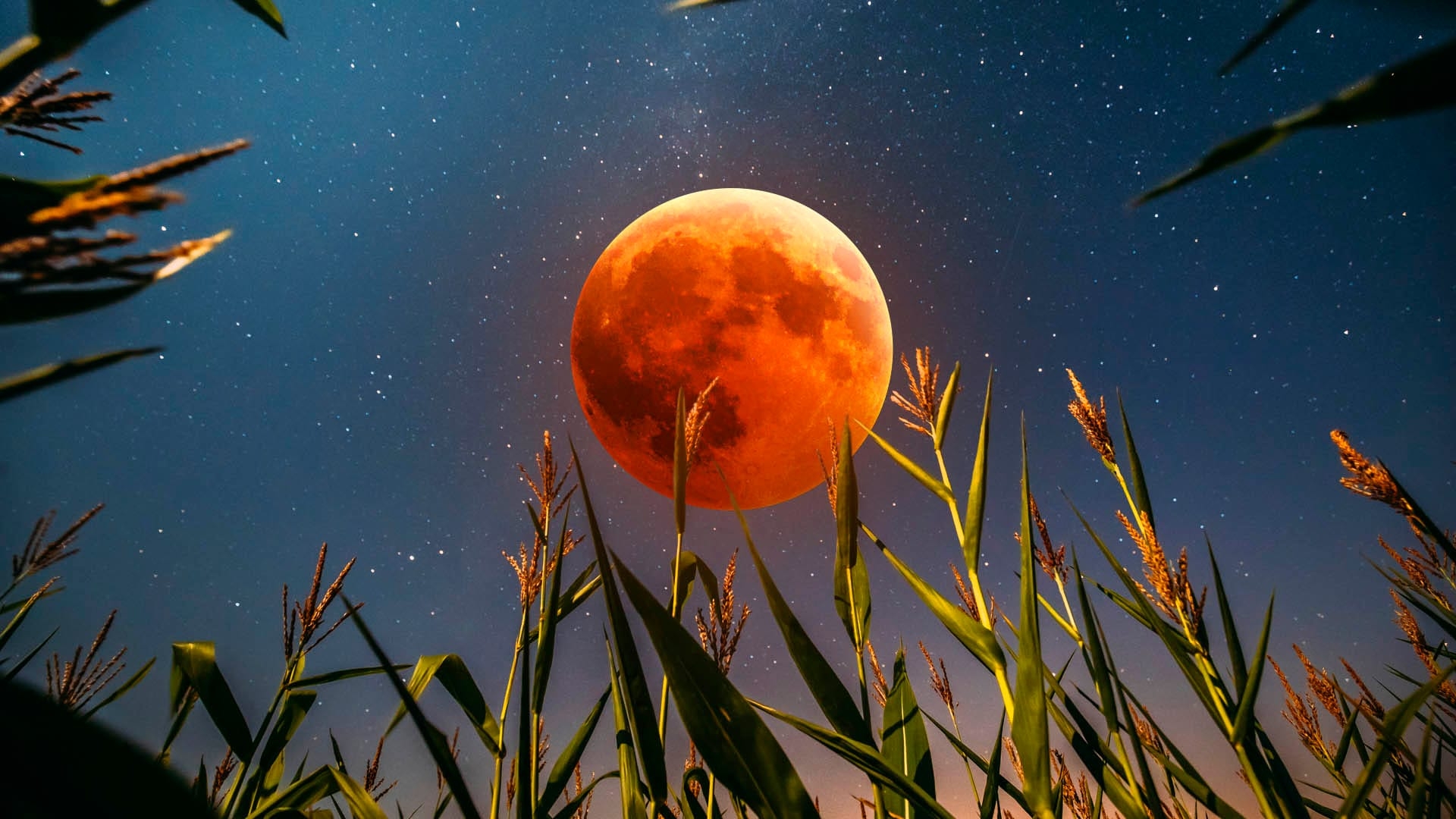 Full Moon September 2025 Corn Moon Harvest Moon 2025 Supermoon September 2025 Star Walk