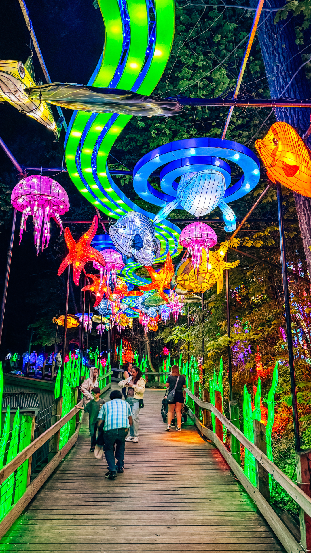 Important Dates For 2025 Metro Detroit Michigan Party Of Alyssa Matt