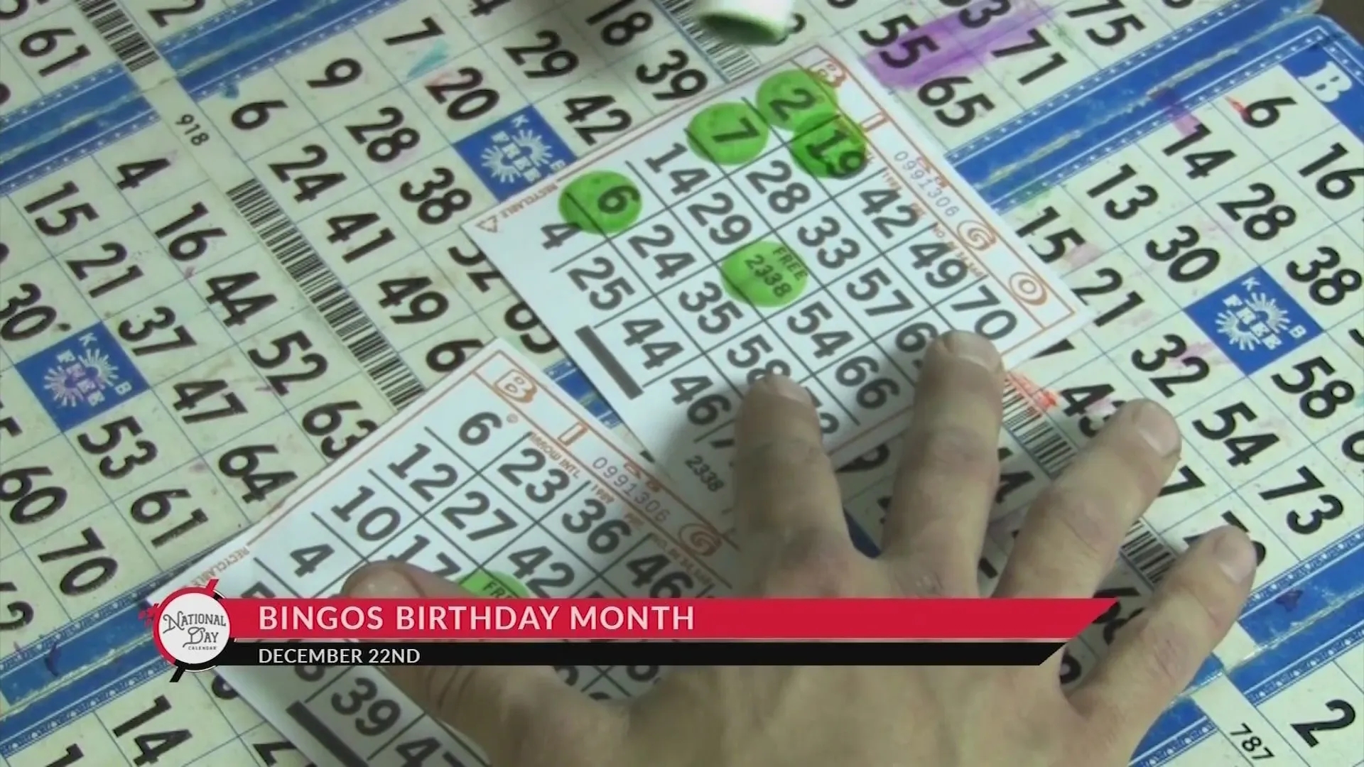 NATIONAL DAY CALENDAR Bingo s Birthday Month KX NEWS
