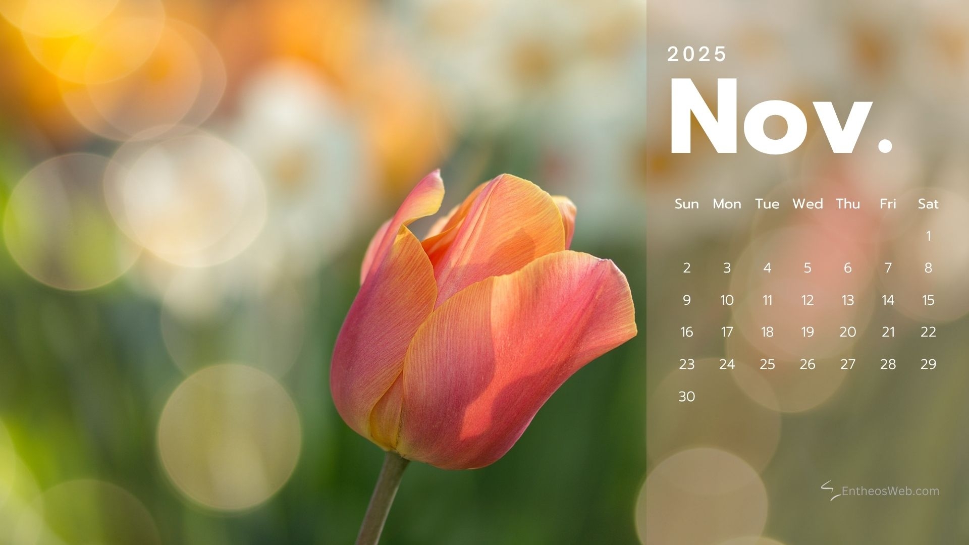Calendar Desktop November 2025