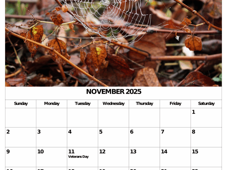 November 2025 Calendar My Calendar Land