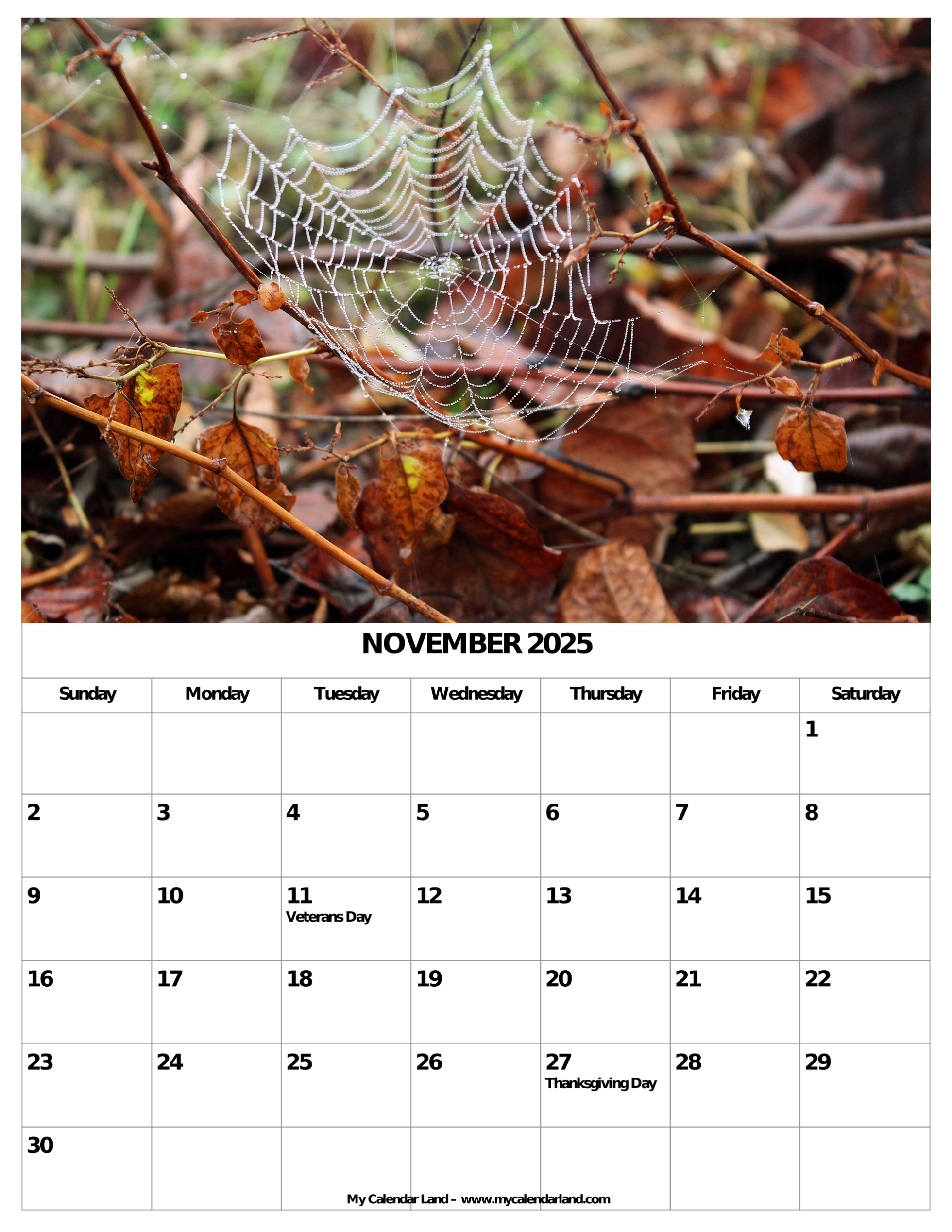 November 2025 Calendar My Calendar Land