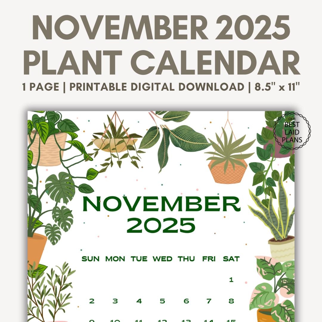 November 2025 Calendar Printable PDF November 2025 Page November 2025 Boho November Calendar 2025 Cute Calendar Nov Cal Digital Download Etsy