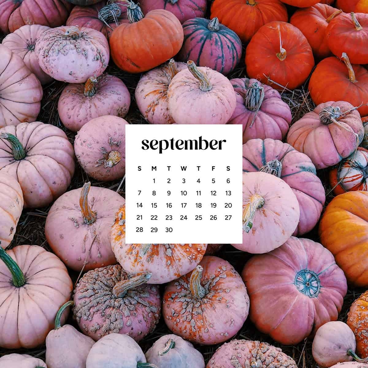 Oh So Lovely Blog Sharing Freebie Designs DIY Travel Ideas 