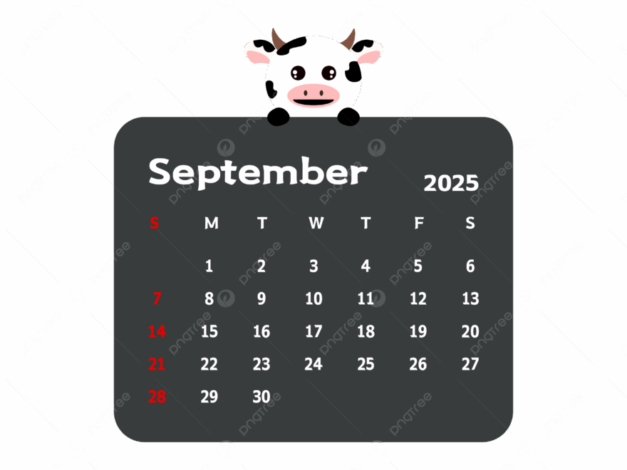 September 2025 Monthly Calendar With Cartoon Cow Vector Cow Clipart Calendar Clipart Cartoon Clipart PNG And Vector With Transparent Background For Free Download