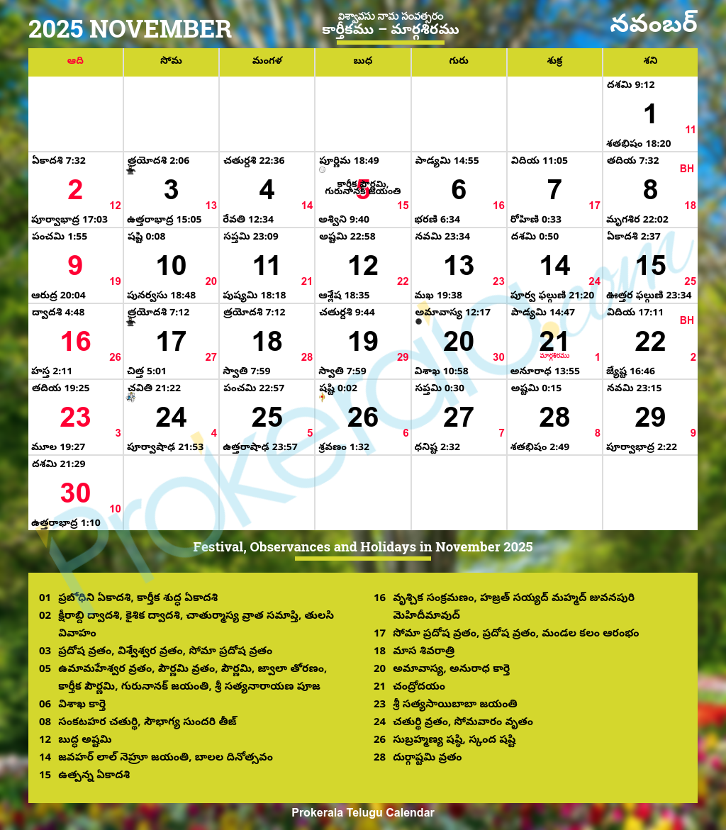 Nj Telugu Calendar November 2025