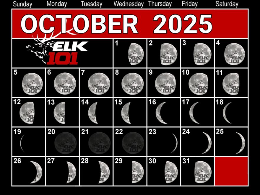 The Best Week For Hunting Elk In 2025 Elk101 Eat Sleep HUNT ELK