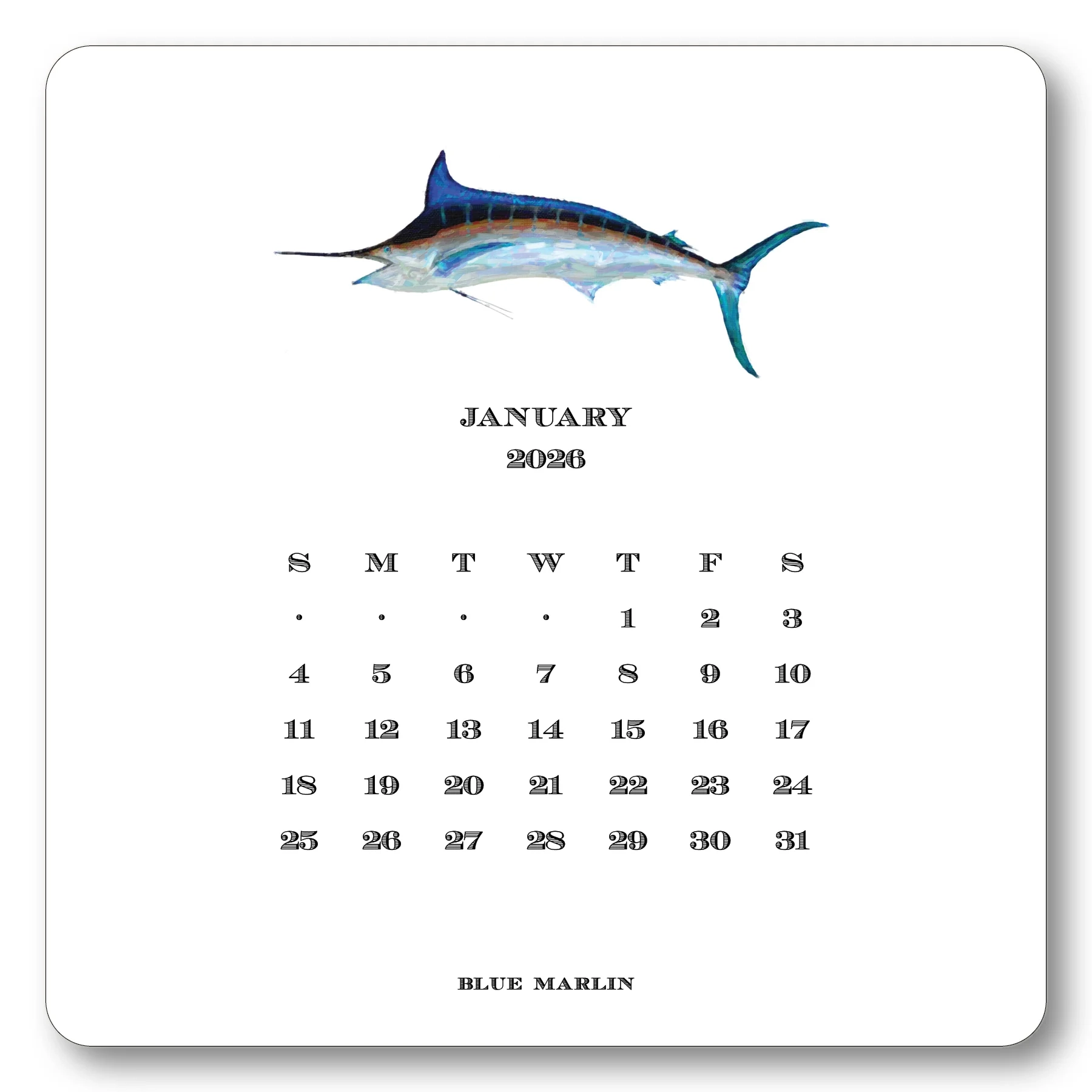 2026 Saltwater Calendar With Easel Shade Tree Greetings