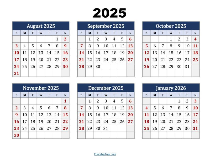 August To January 2026 Calendar Printable PDF Six Months Calendar