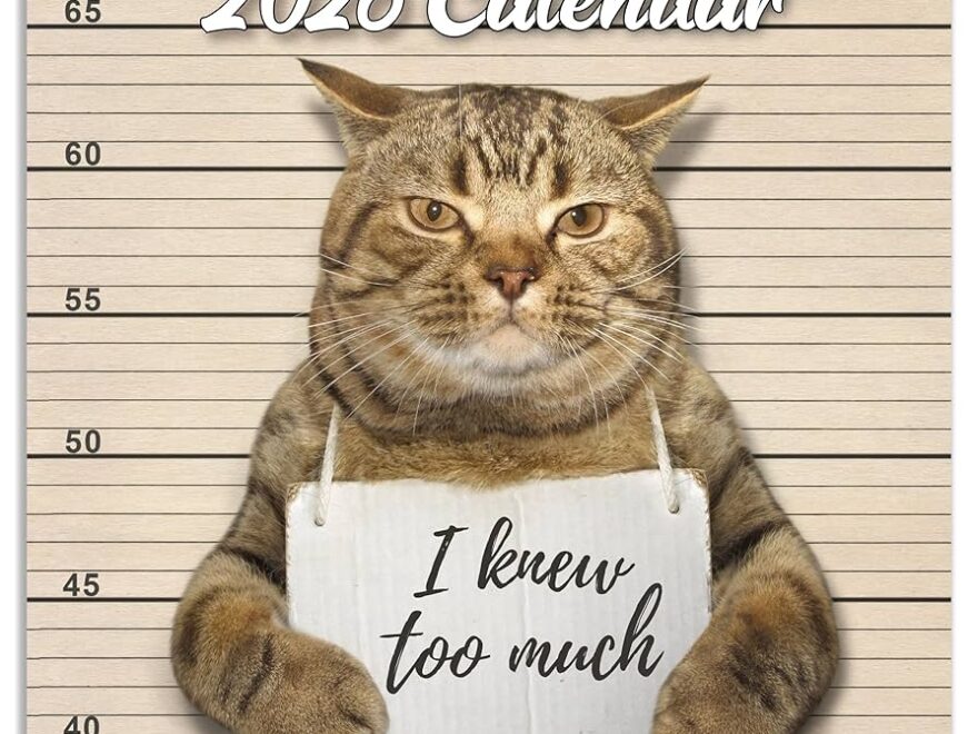 Wall Calendar 2024 Funny Cat 2024 January December Gag Gift Memes Pictures 12 X 24 Inches Open Ideal White Elephant Gift Paint Brown YAMMBQBQMD24A01 Amazon de Stationery Office Supplies