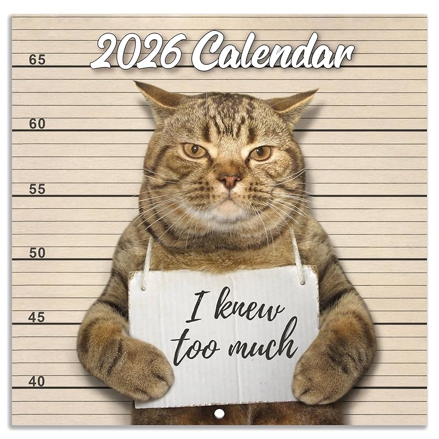 Wall Calendar 2024 Funny Cat 2024 January December Gag Gift Memes Pictures 12 X 24 Inches Open Ideal White Elephant Gift Paint Brown YAMMBQBQMD24A01 Amazon de Stationery Office Supplies